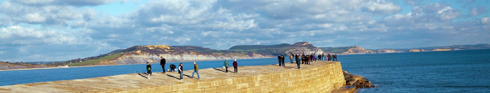 Header image landscape