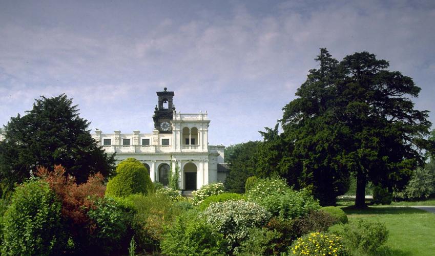 Second Image