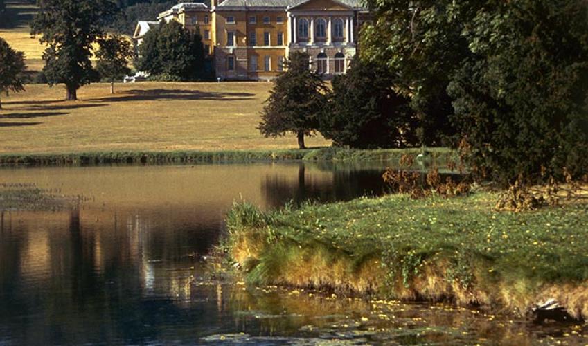 Second Image
