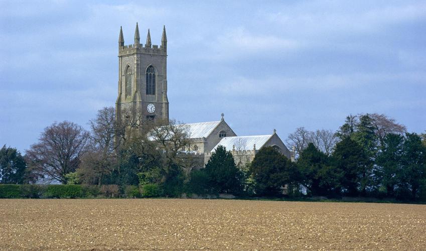 Second Image