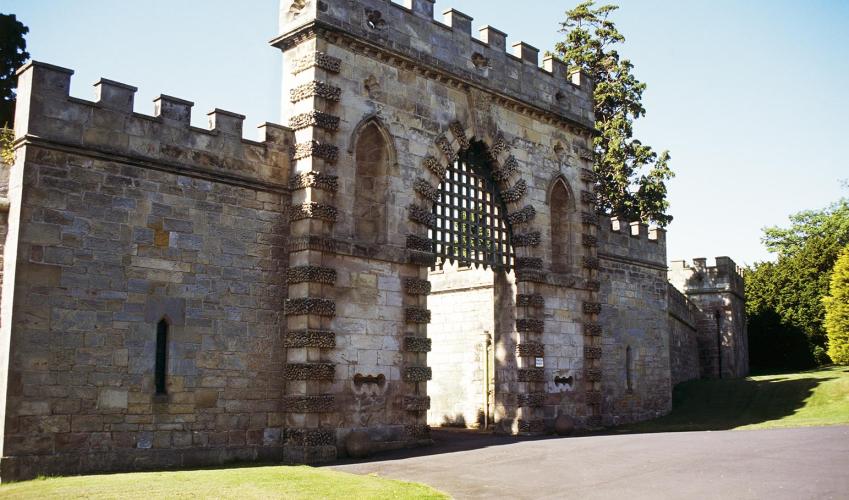Second Image