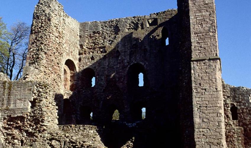 Second Image
