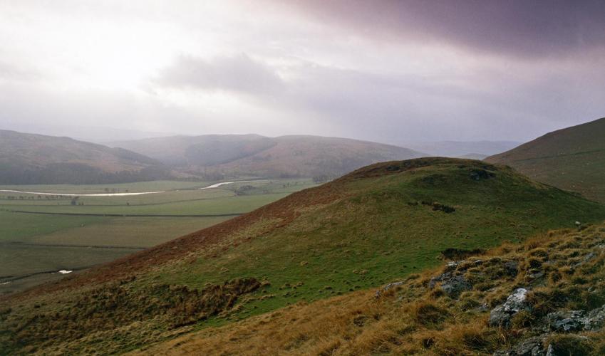 Second Image