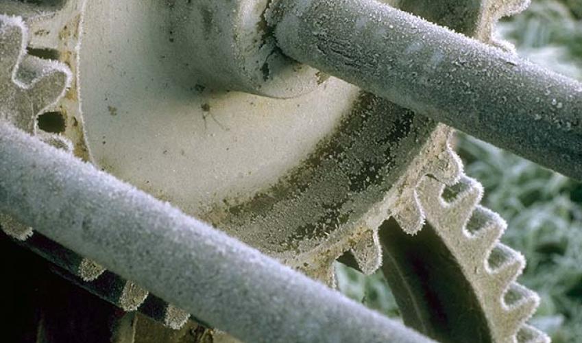 Second Image