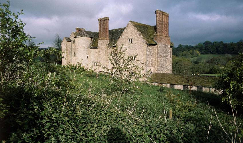 Second Image