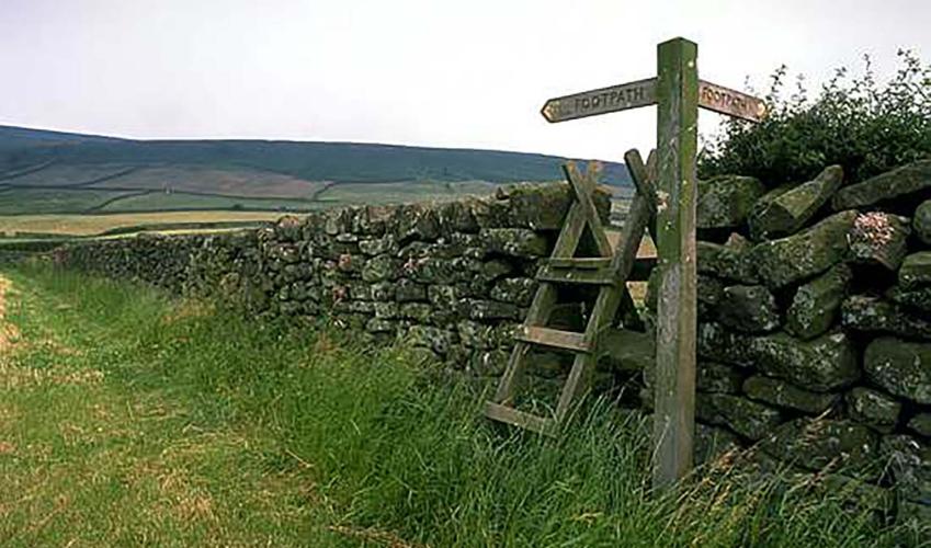 Second Image