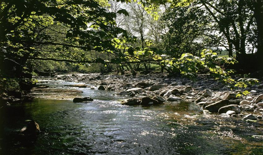 Second Image