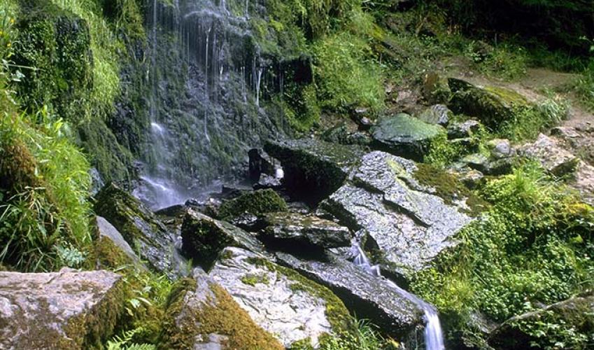Second Image