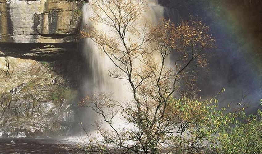 Second Image