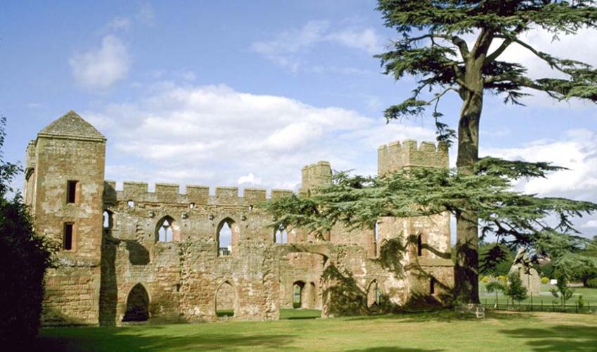 Image 4