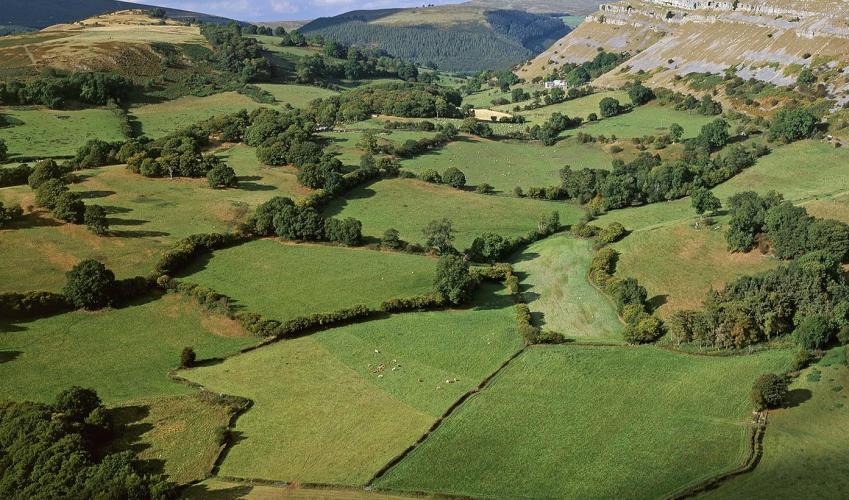 Second Image