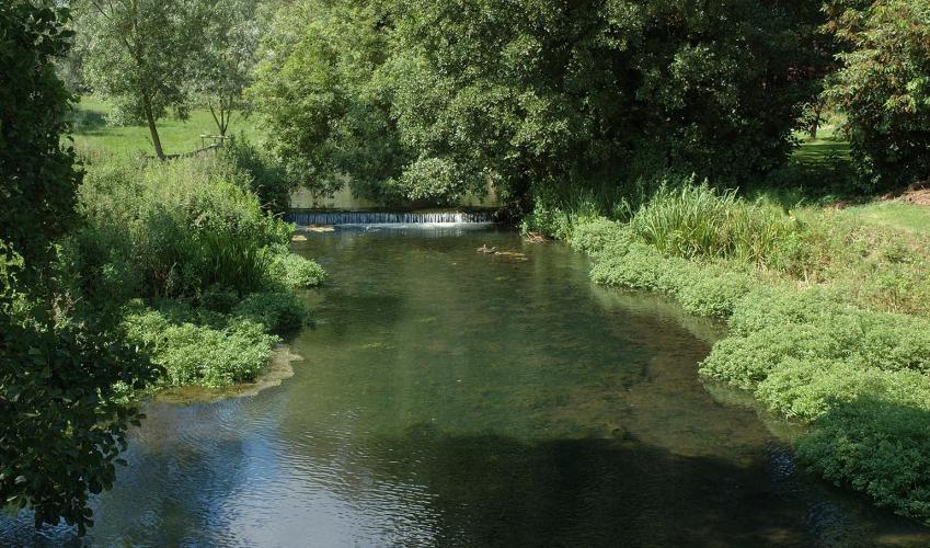 Second Image
