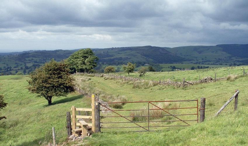 Second Image