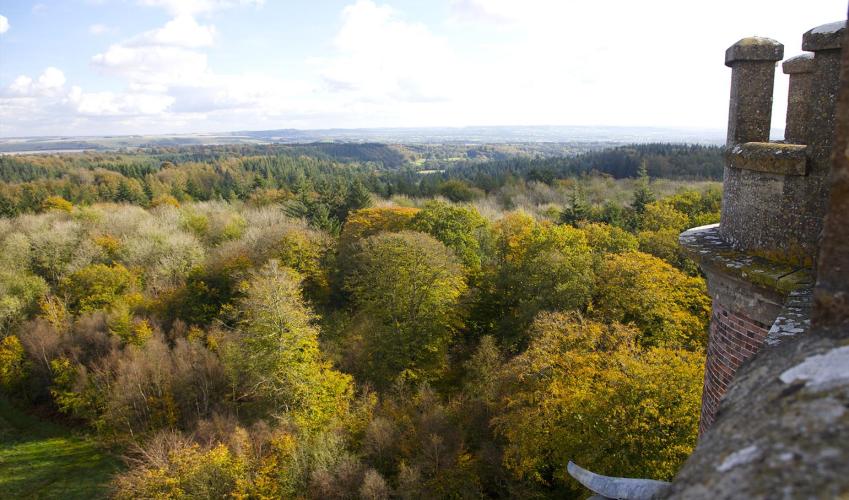 Second Image