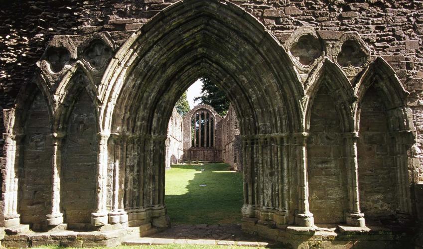 Image 6
