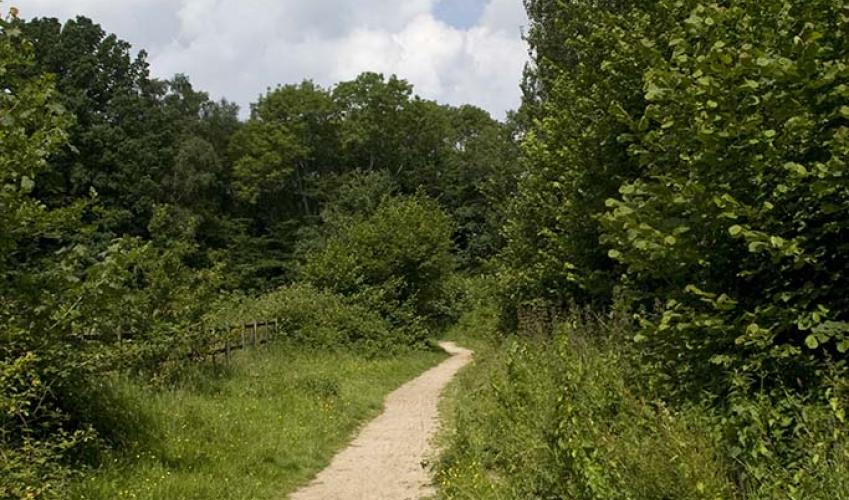 Second Image