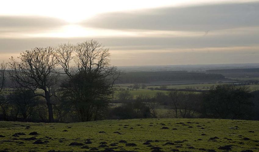 Second Image