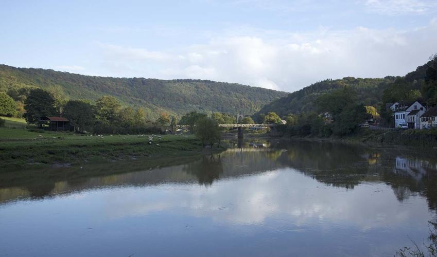 Image 6