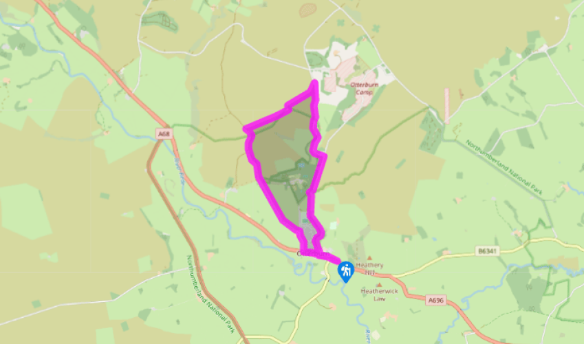 First Image