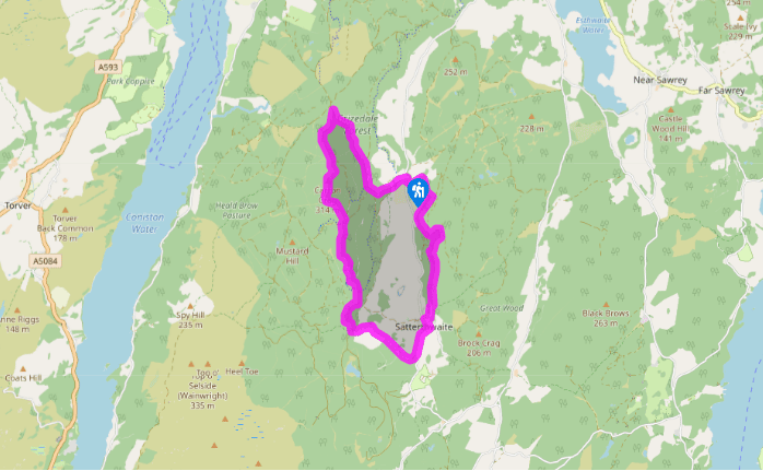 Grizedale forest trails
