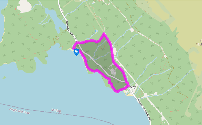 A trail through the Sallochy Woods
