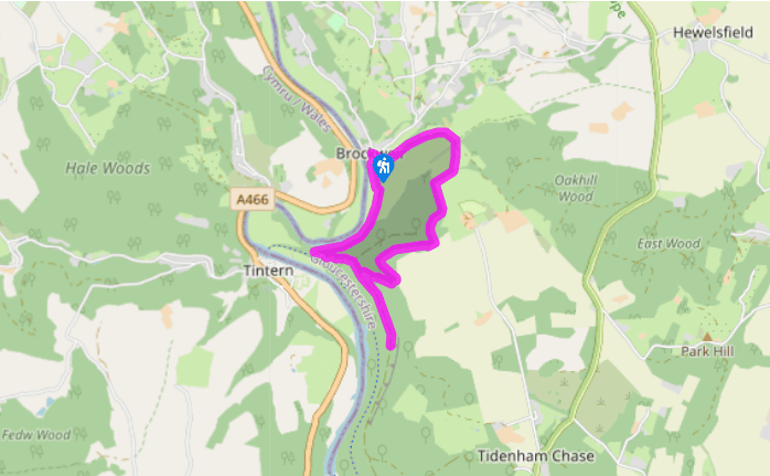 Brockweir to Tintern Abbey