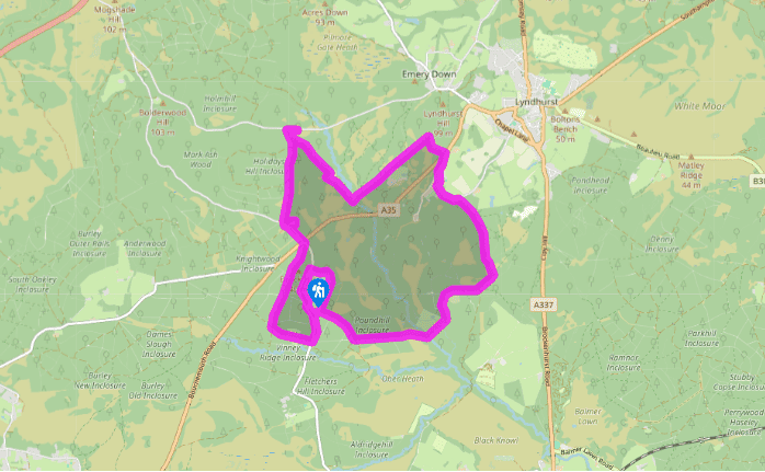 Discovering New Forest trails