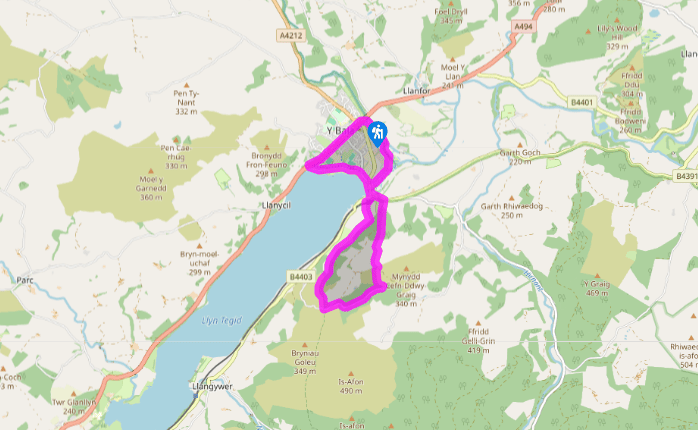 A view of Bala's lake – Llyn Tegid