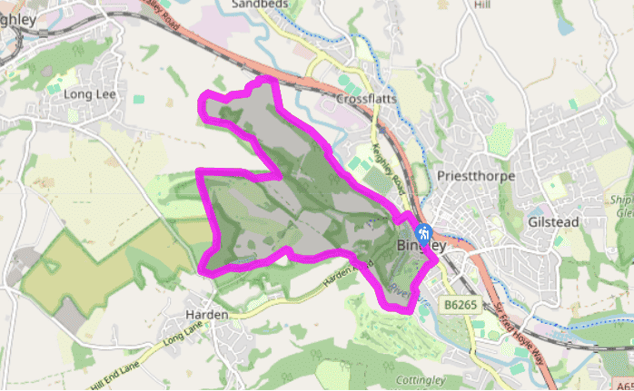 Bingley and the St Ives Estate