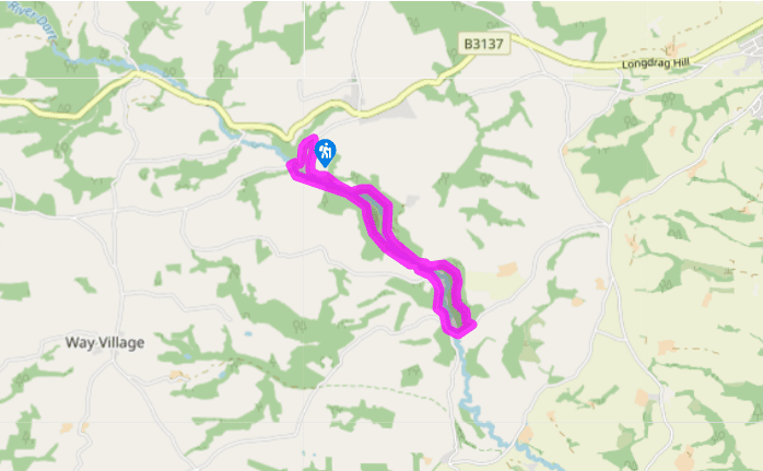 The Dart Valley, Withleigh