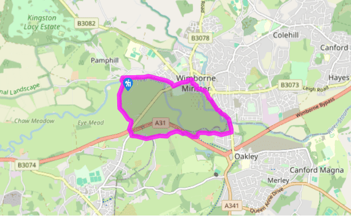 Wimborne Minster and its water meadows