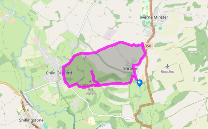 Exploring Hambledon Hill