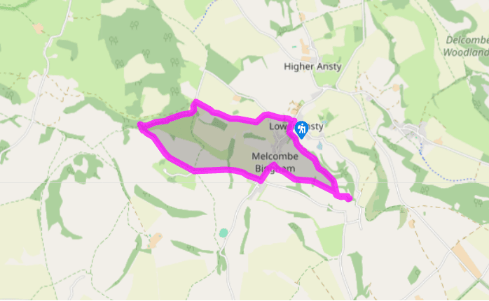 Higher Melcombe and the Binghams