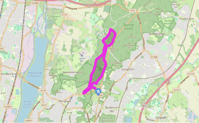 Through Epping Forest