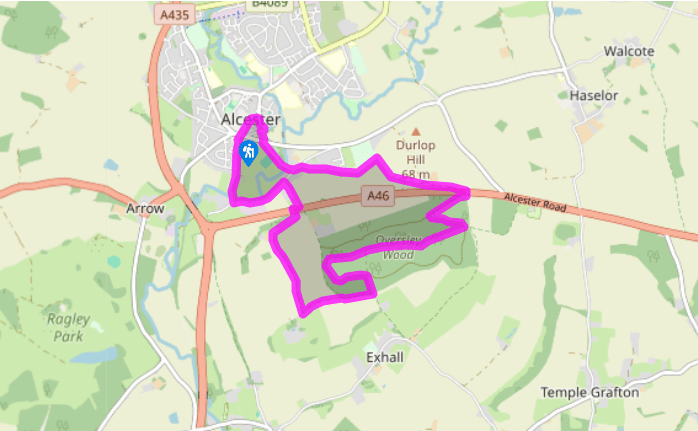 The Roman town of Alcester