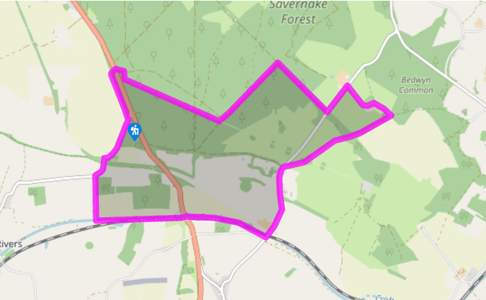 Savernake Forest