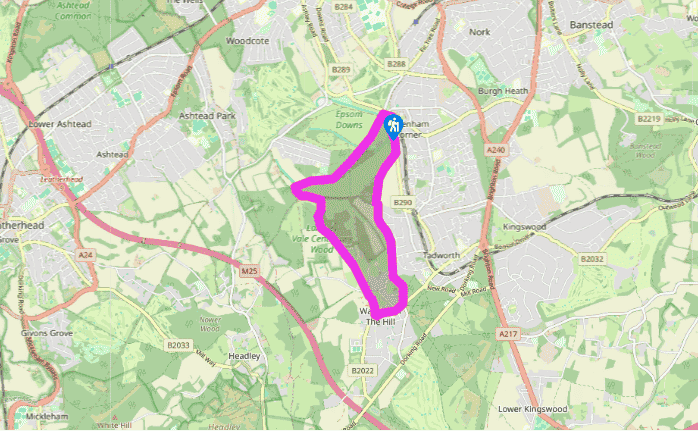 Epsom Downs and The Racecourse