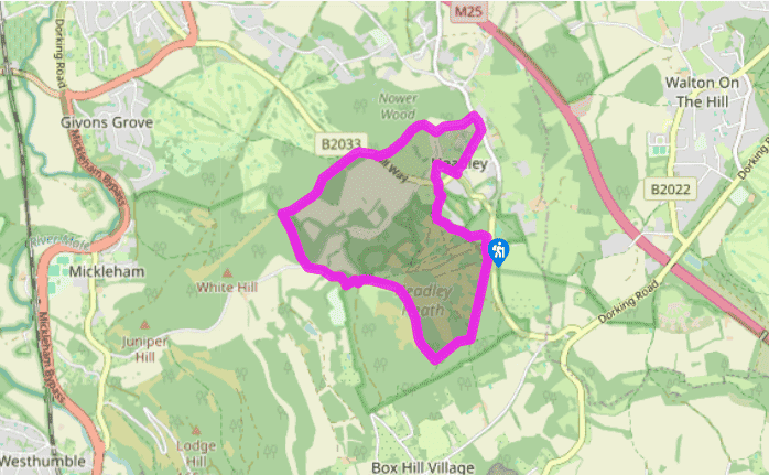 Exploring Headley Heath