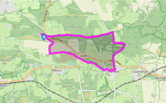 A Newlands Corner loop via Shere
