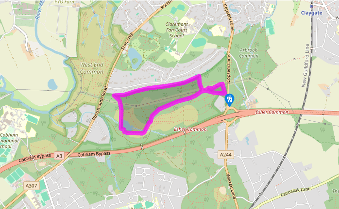 A Loop Around Esher Common