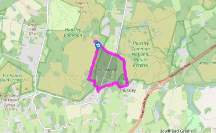 Hankley Common to Thursley